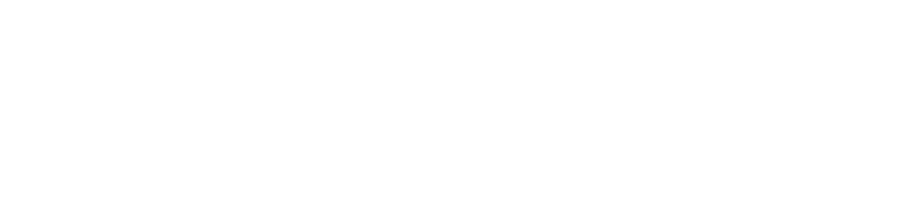 Ranch King of Texas Logo